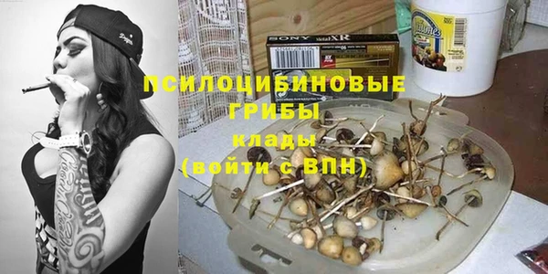 индика Костерёво