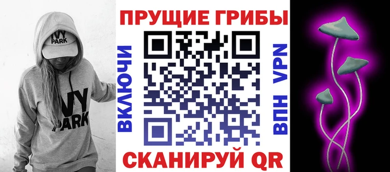 Купить  Чайковский  Псилоцибиновые грибы GOLDEN TEACHER 